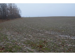 Property photo 33 - FARM AUCTION - 60.5+/- ACRES IN 5 TRACTS IN ALLEN COUNTY, INDIANA